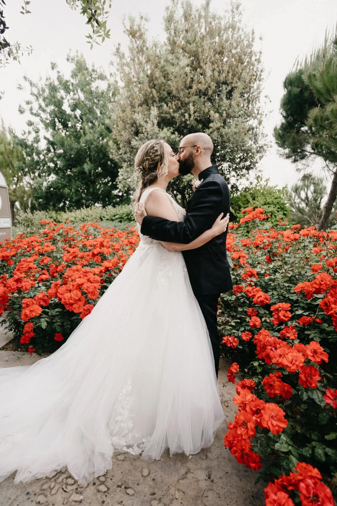 Abrazo de los novios en un jardín de amapolas